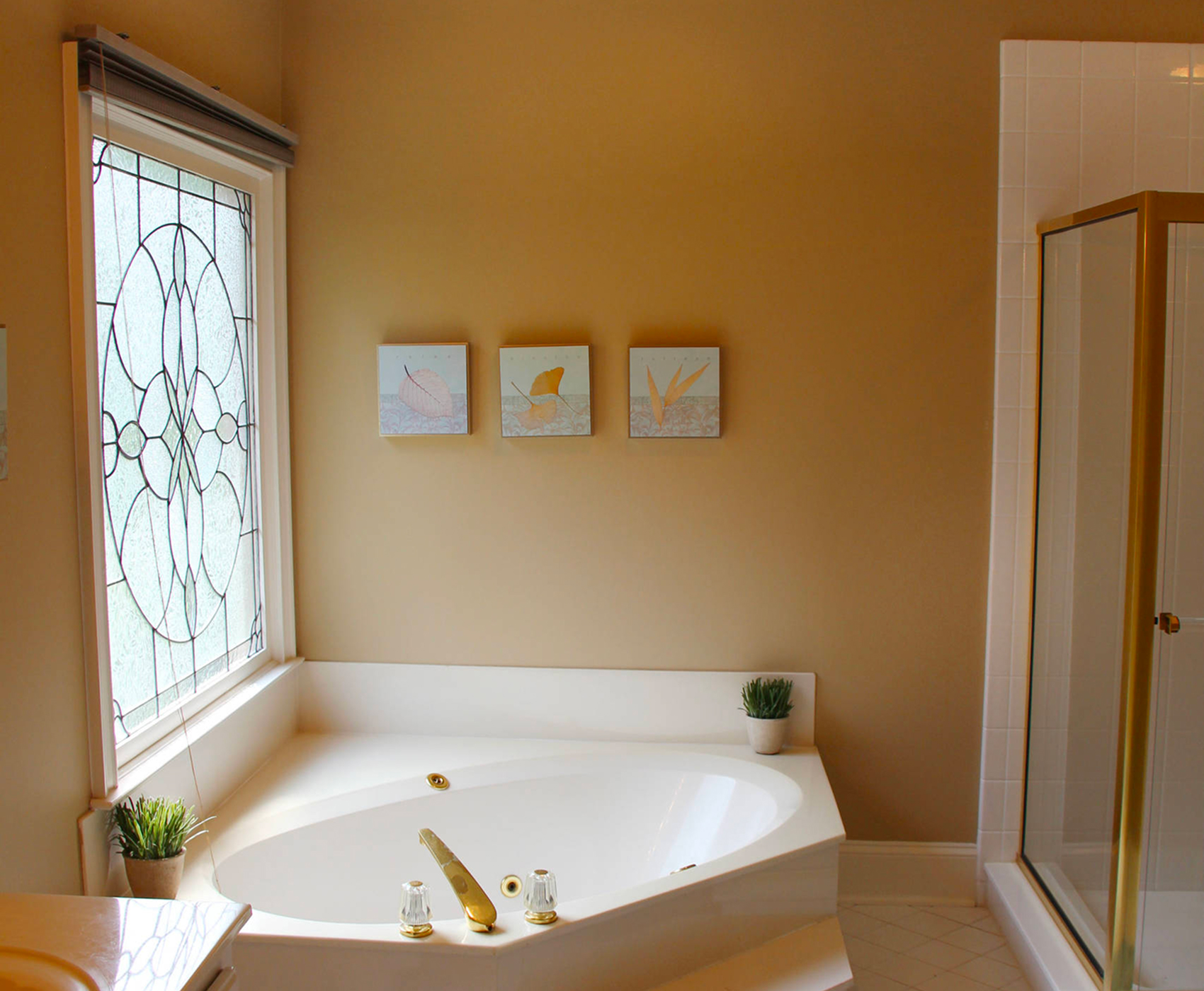 dzala-bathroom-remodel-falls-arlington-va-before dzala-bathroom-remodel-falls-arlington-va-before